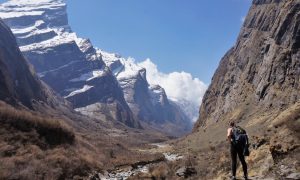 11 days trekking to annapurna base camp