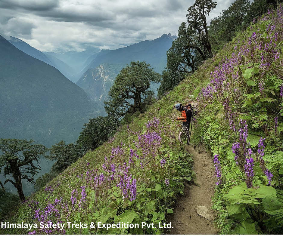 Mardi himal trek