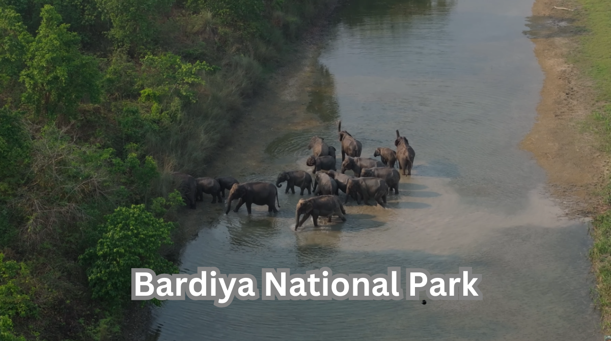 Exploring Bardiya National Park: Nepal’s Untamed Wilderness