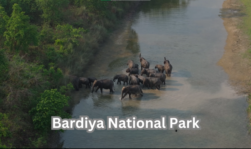 Exploring Bardiya National Park: Nepal’s Untamed Wilderness