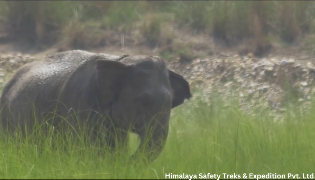 Bardiya National Park