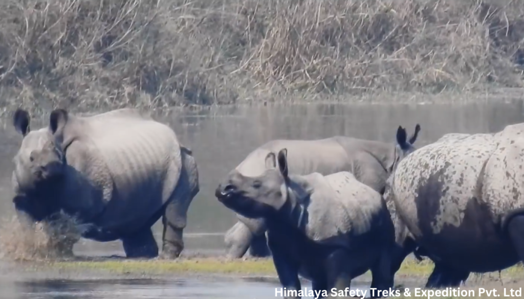 Bardiya National Park