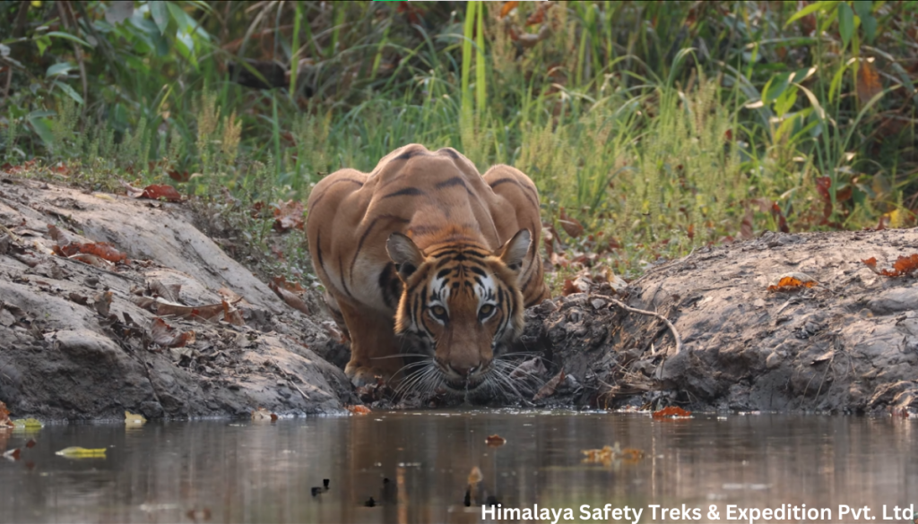 Bardiya National Park