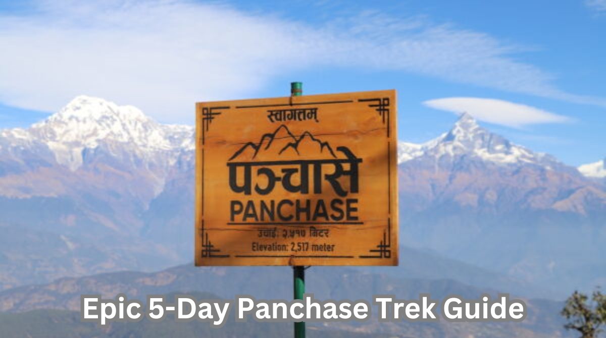 Epic 5 Days Panchase Trek: Full Guide