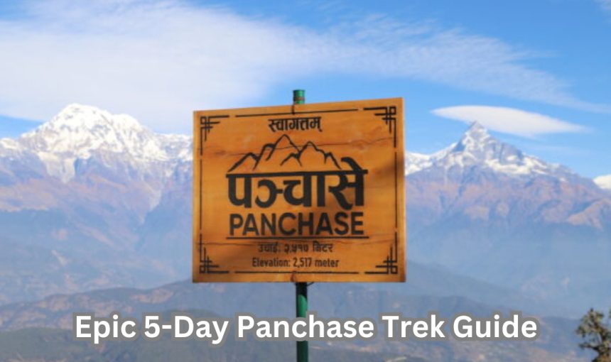 Epic 5 Days Panchase Trek: Full Guide