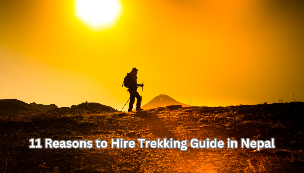 11 Reasons to Hire a Trekking Guide in 2024