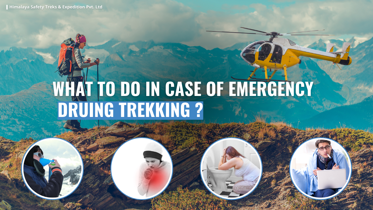 Emergency Tips What to Do in Case of Injuries or Illnesses