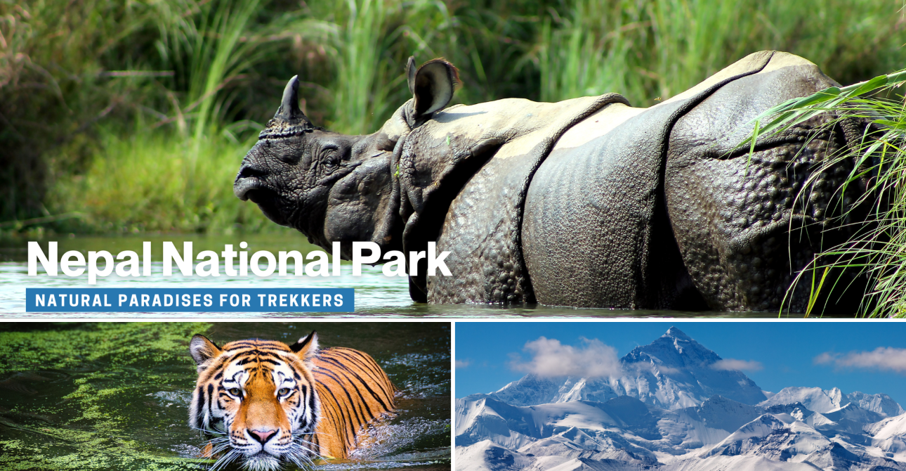 Nepal’s National Parks: Natural Paradises for Trekkers