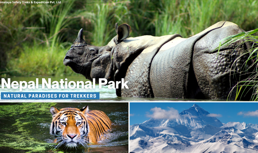 Nepal’s National Parks: Natural Paradises for Trekkers